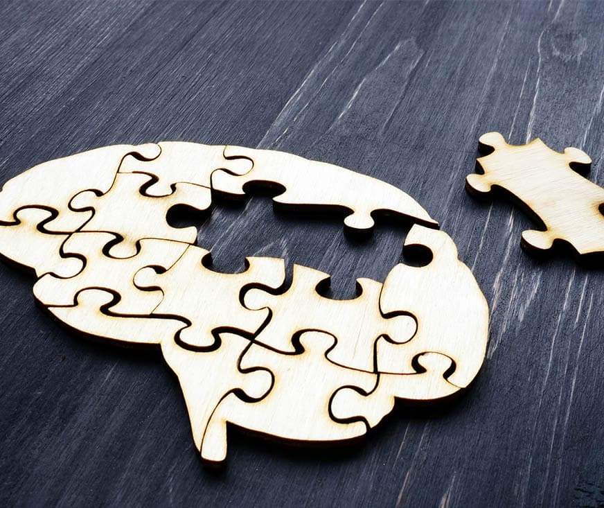 a brain shaped puzzle