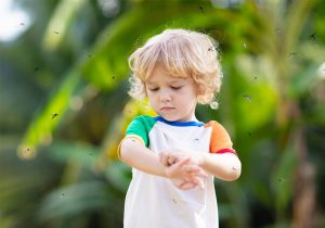 A young boy has been stung by a bee