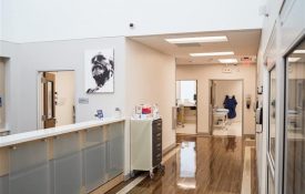 urgent care front desk